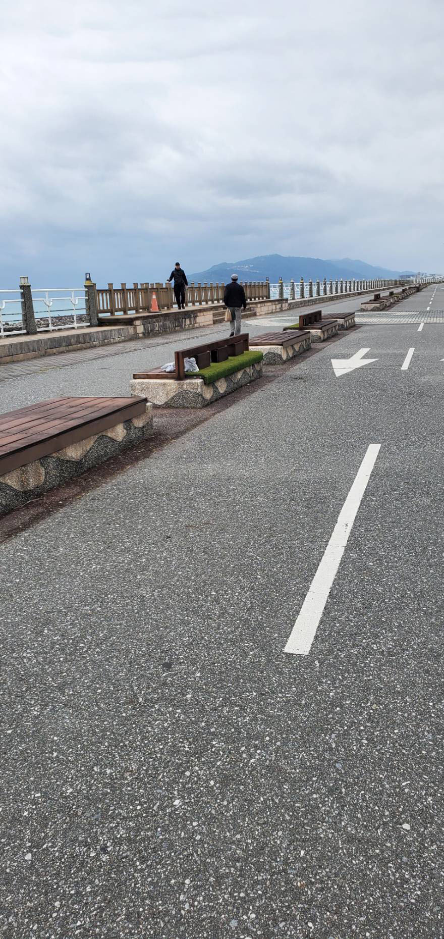 花蓮濱海新區觀海步道地磚工程